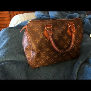 Louis Vuitton speedy 25 with organizer